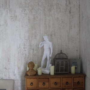 Michelangelo david essay picture