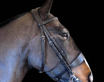Hunter Bridle leather