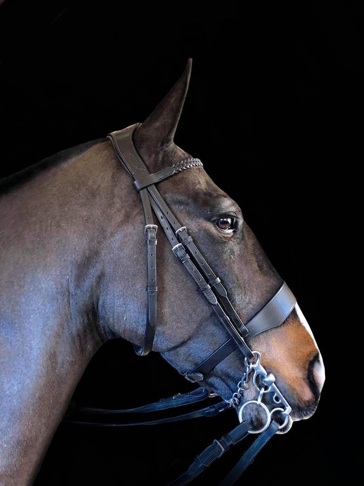 Bridle Rosette Medallion Pin Jumping Horse and Jockey Motif c.1890