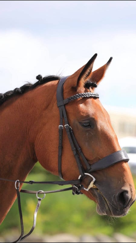 Redini In Pelle Con Super Grip Antiscivolo - Extra Pieno, Nero | Per Bridle E Equitazione - Foto 11