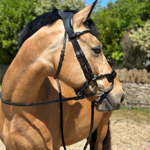 Pre Order Due July Saxon Anatomical Comfort Bridle Evo Equine