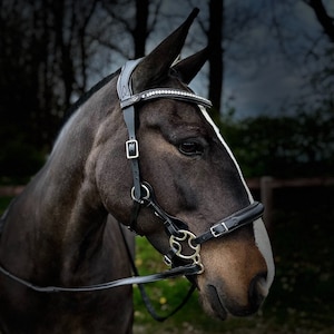 Elite Bitless Bridle Evo Equine