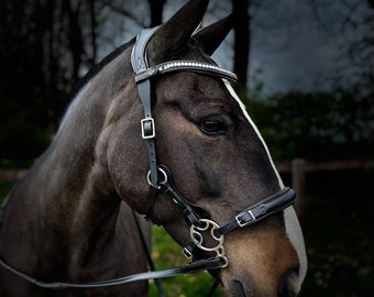 Elite Bitless Bridle Evo Equine