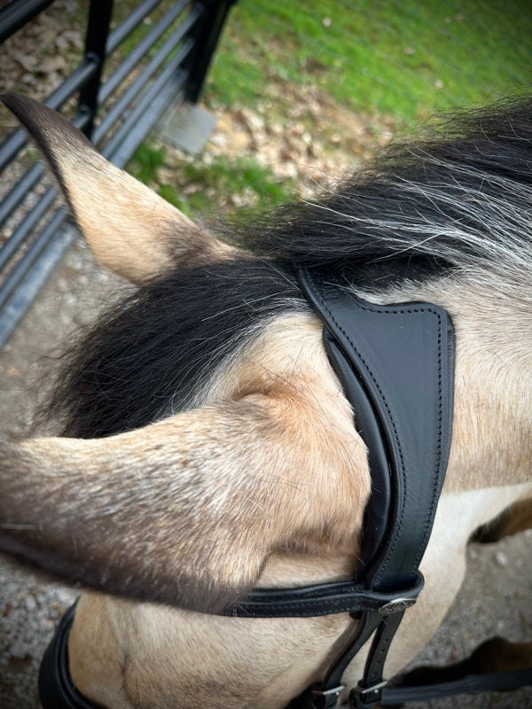Easy Ride Bitless / Bitted Leather 4-way Bridle Evo Equine - Etsy