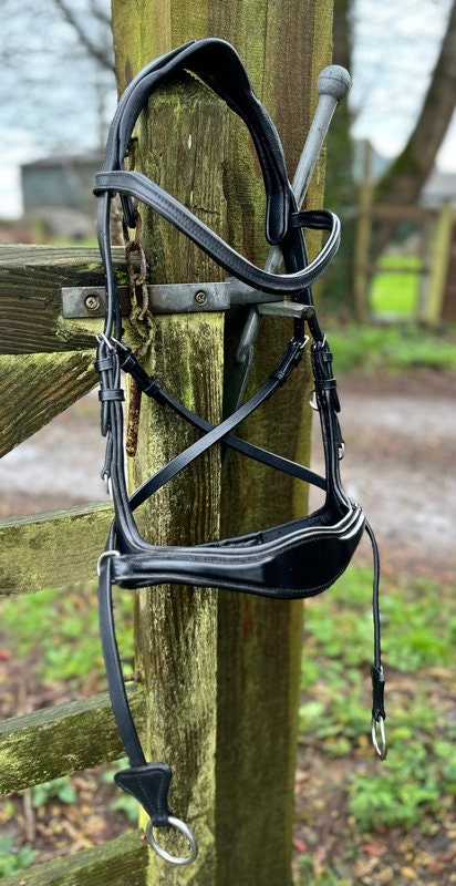 Easy Ride Bitless / Bitted Leather 4-way Bridle Evo Equine - Etsy