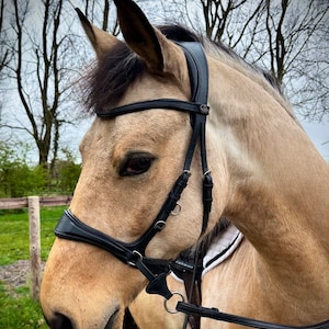 Easy Ride Bitless / Bitted Leather 4-Way Bridle Evo Equine