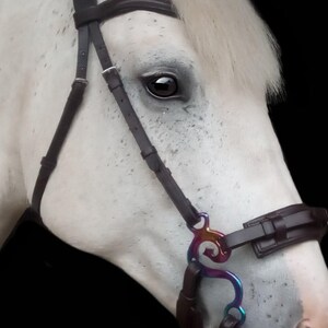 May include: A white horse wearing a brown leather bridle with a rainbow coloured bit. The horse's eye is visible.