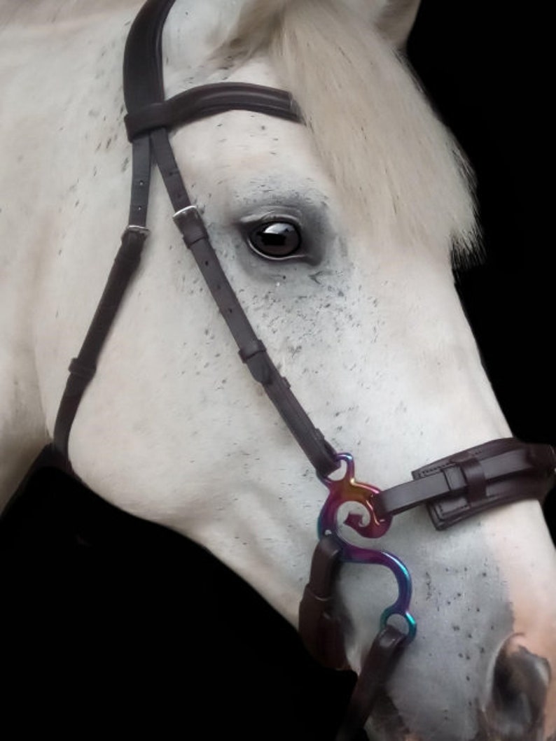 May include: A white horse wearing a brown leather bridle with a rainbow coloured bit. The horse's eye is visible.