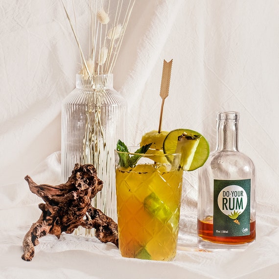 These 4 cocktails have ice cubes infused with booze and botanicals.