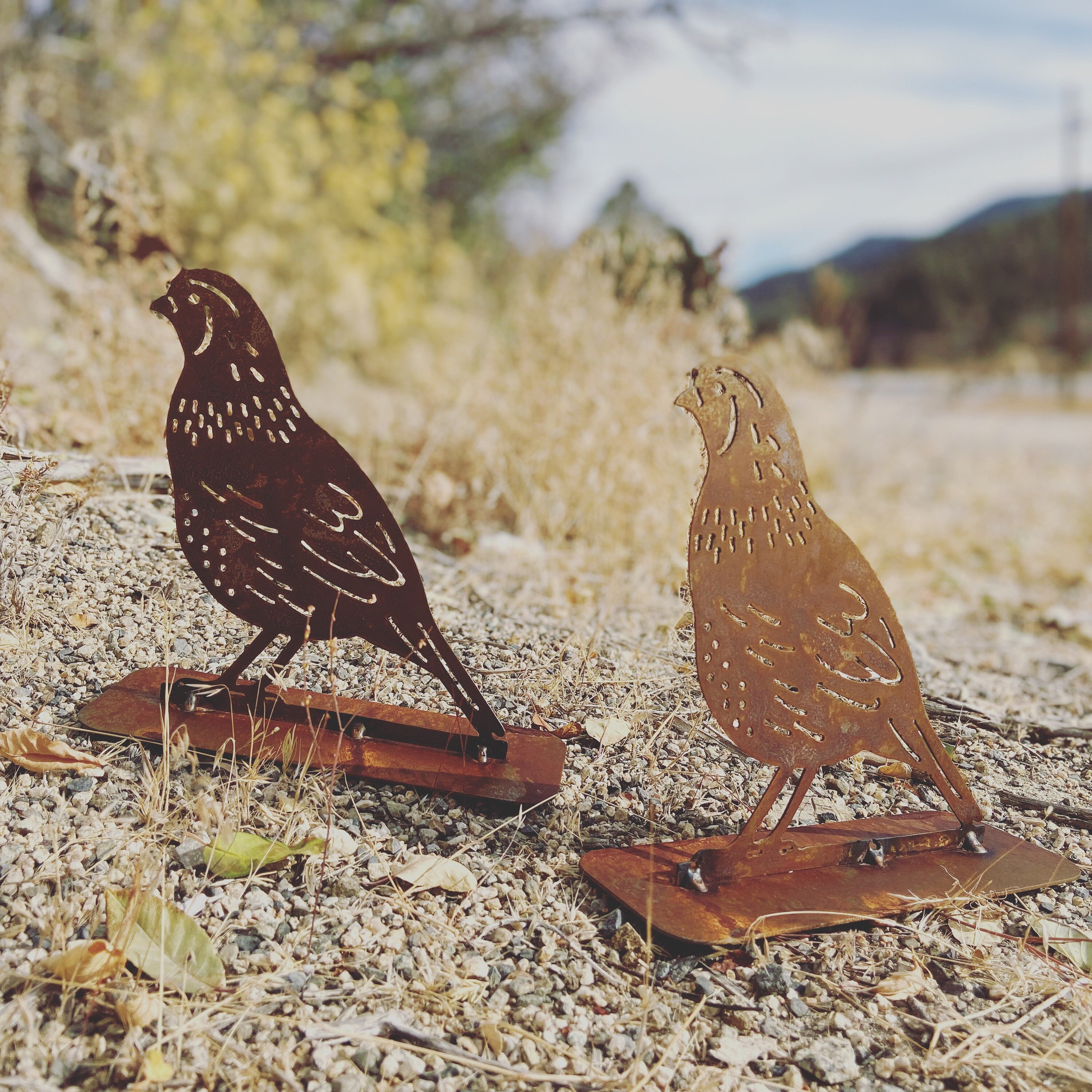 Metal California Quail Stand up Quail Farmhouse Yard Art Etsy
