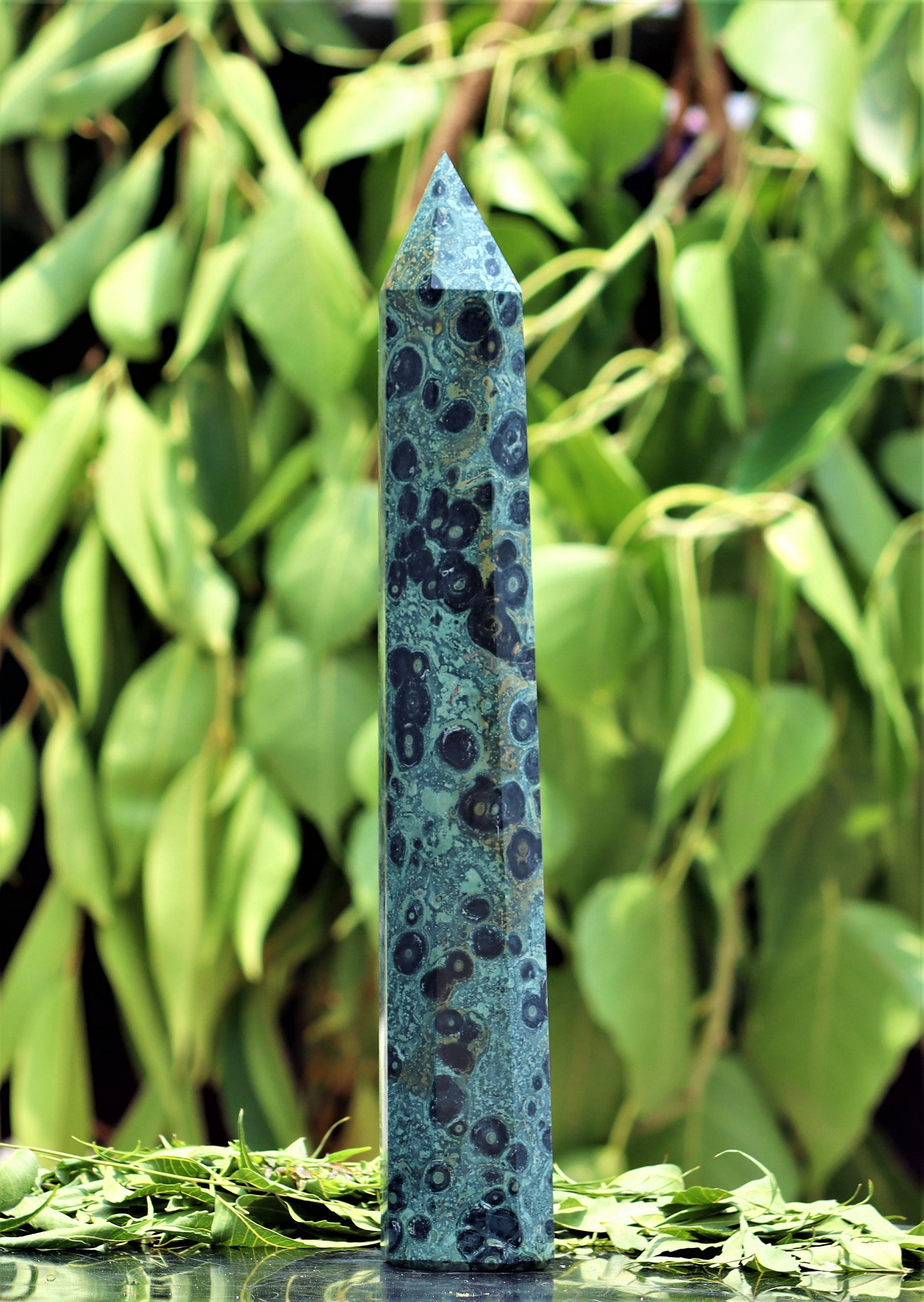 kambaba stone kambaba stone