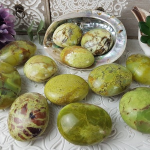 Peut inclure: Plusieurs pierres d'opale verte polies, présentant des motifs et des nuances de jaune et de brun. Les pierres sont disposées sur une surface blanche, certaines dans une coquille décorative. L'ensemble est naturel et terreux.