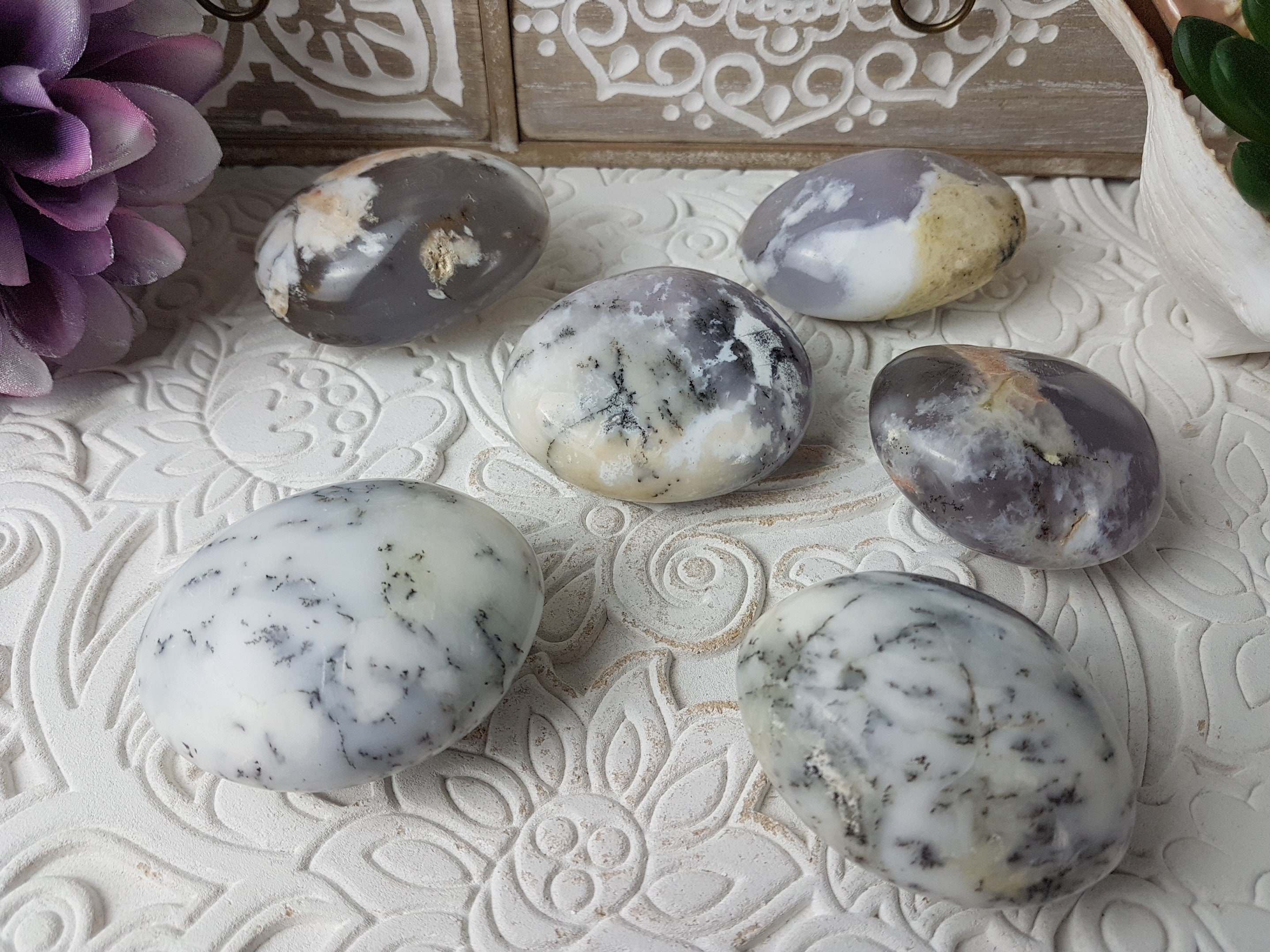 Agate Dendritique - Galets