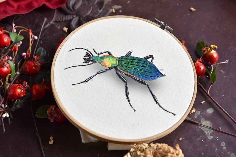 Insects Beginner Embroidery Kit Hand Embroidery kit Full Kit Etsy