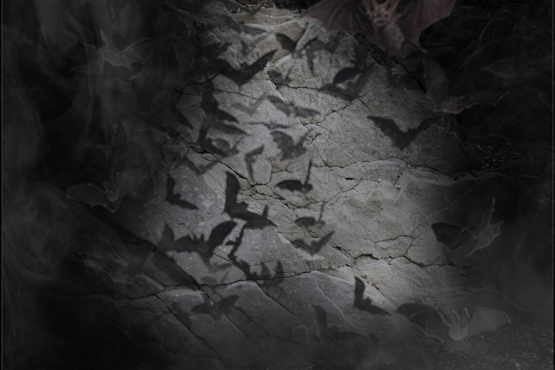 Bat cave Digital Background Digital Backdrop Cosplay Etsy