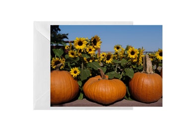 Pumpkin and Sunflower 5 X 7 greeting card.