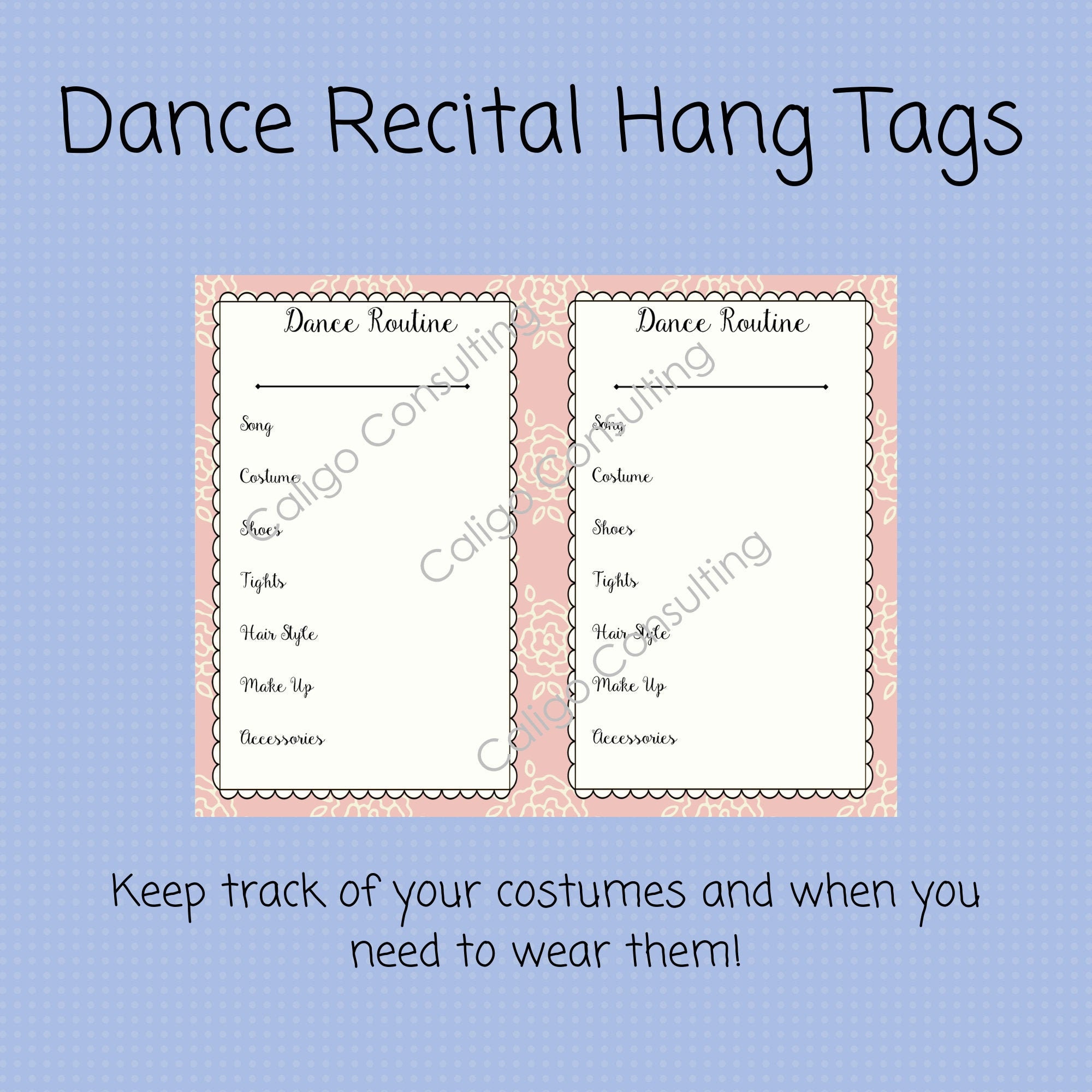 Dance Recital Hang Tags Costumes Studio Owners Dance Etsy