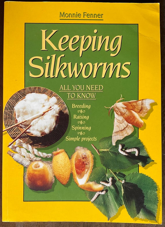 Keeping Silkworms All You Need to Know Breeding Raising Etsy