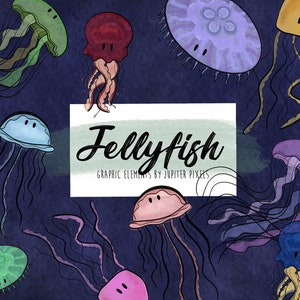 Jellyfish clipart / Jelly fish ocean images / instant download