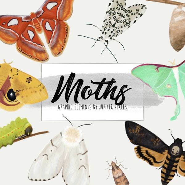 Moths clipart / Moth wings images / instant download