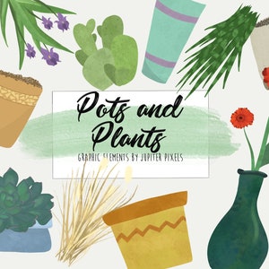Töpfe und Pflanzen Clipart / Pflanzen Grafik-Elemente / digitaler Download
