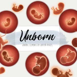 Unborn Baby clipart / Fetus in Womb images / instant download