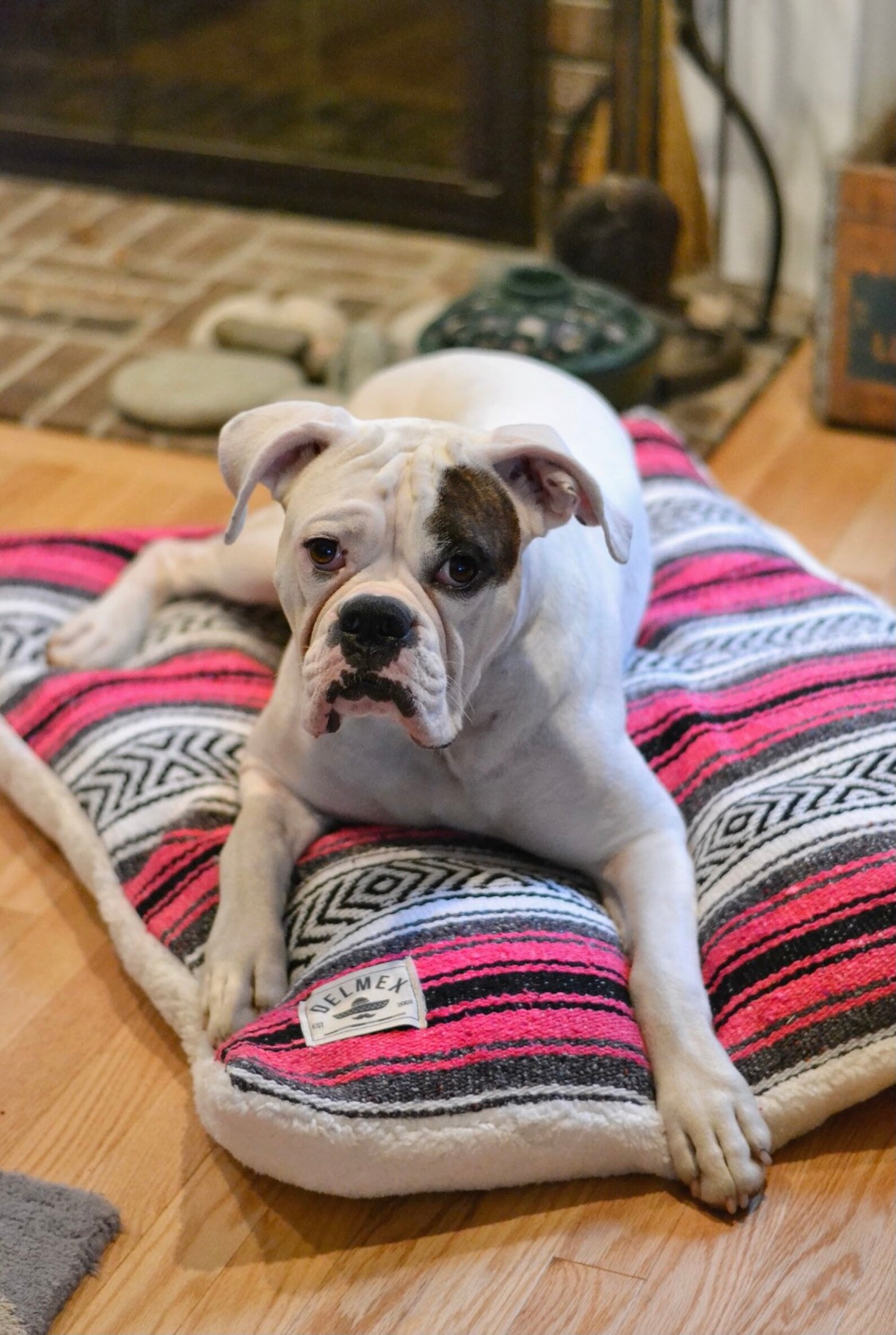 Mexican falsa blanket dog bed pillow with soft Sherpa Etsy