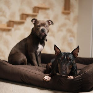 Stylish brown dog bed, large dog bed, orthopedic dog bed, modern pet bed, cozy dog bed, dog furniture, stylish dog bed, new puppy gift