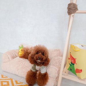Beige sofa for dog, small dog bed, beige dog bed, soft pet bed, cute pet bed, dog bed furniture, dog gift, dog owner gift, pet gift
