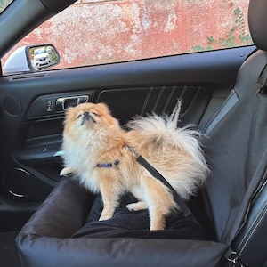 Asiento de coche para perros, asiento elevador para perros, suministros de viaje para mascotas, asiento portátil para perros, transportín para perros en coche, regalo para perros, regalo para mascotas, regalo para dueños de perros