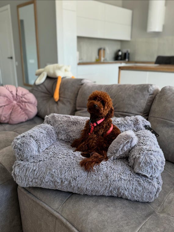 Haustiersofa Für Hund & Katze | Moderne Cord Couch | Abnehmbarer Bezug, Maschinenwaschbar, Bis 6 Kg