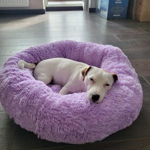 Colorful soft bed for cats, round dog bed, fluffy pet bed, small dog bed, cozy pet bed, pet comfort, gifts for cats, pet lover gift