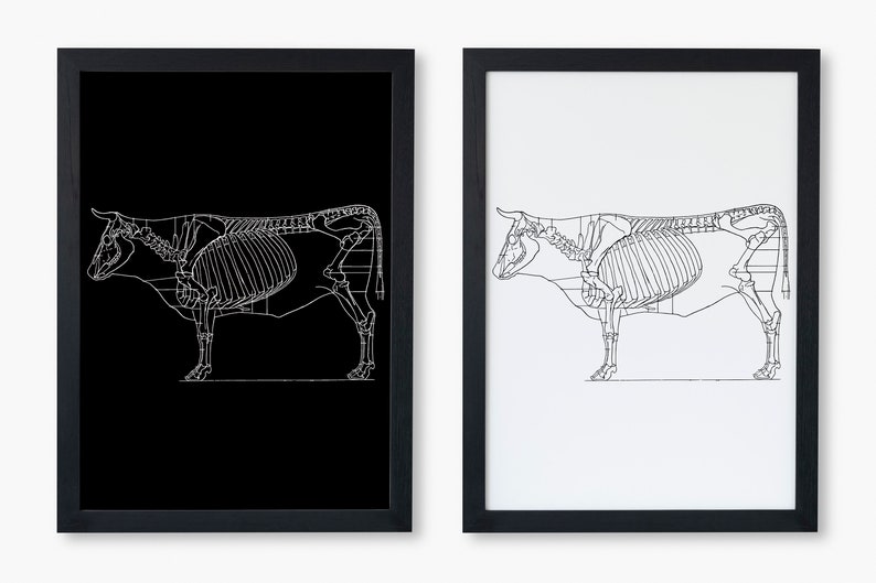 Set of 2, Cow Anatomy Poster, Veterinary Poster, Butcher Print, Cattle