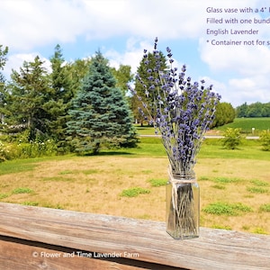 10 Bundles of Dried Organic English Lavender 4&quot; - 12&quot; Bunches / Bundles / Bouquet