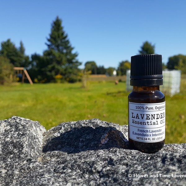 Organic French Lavender (Lavandin, Lavandula x Intermedia) Essential Oil | 100% Pure Natural