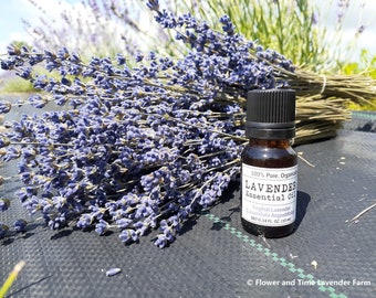 Organic English Lavender (Lavandula Angustifolia) Essential Oil | 100% Pure Natural