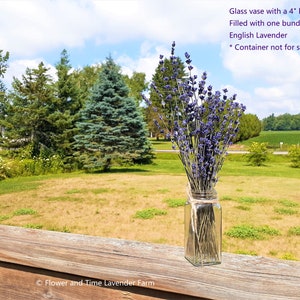 2 Bundles of Dried Organic English Lavender 4&quot; - 12&quot; Bunches / Bundles / Bouquet