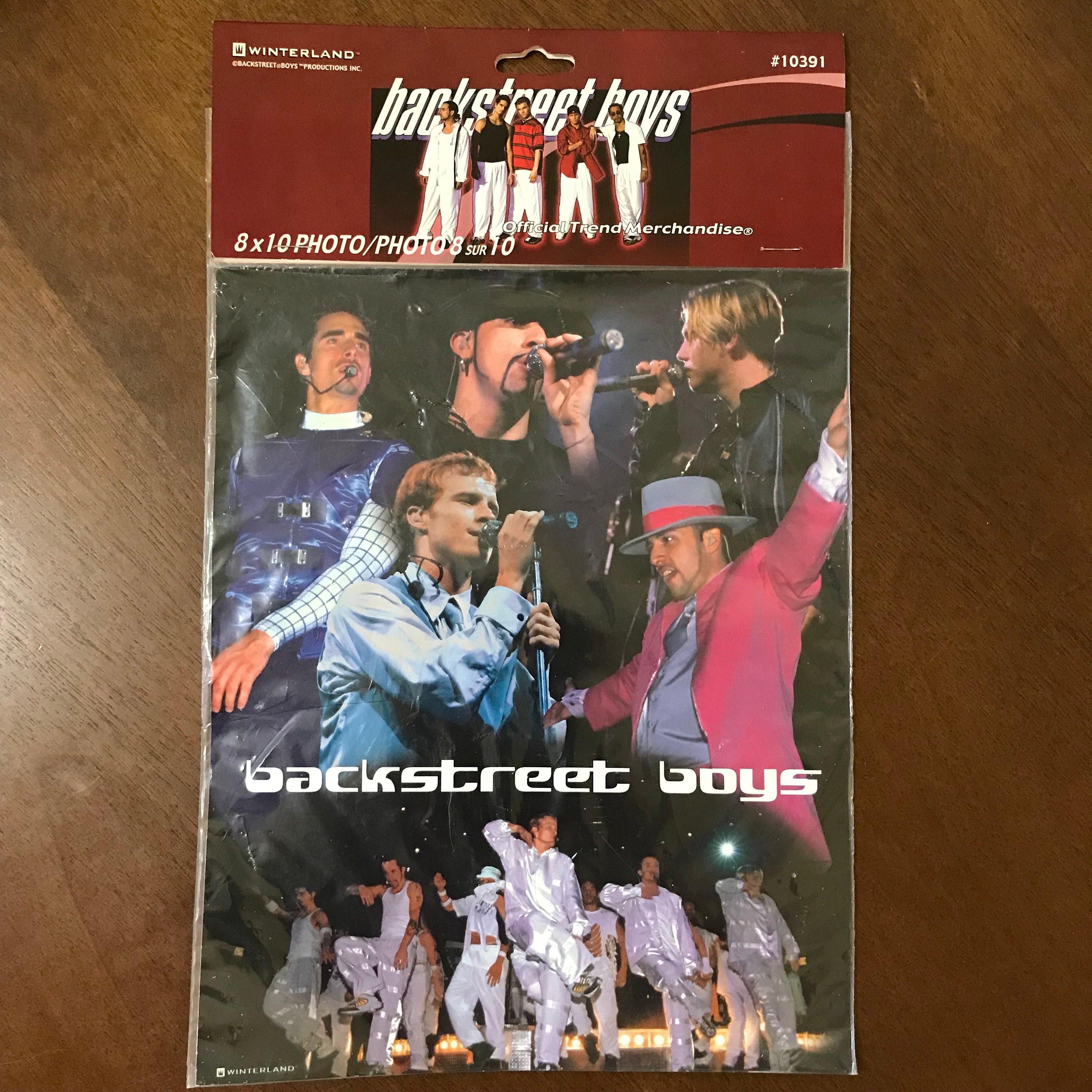 VAN BOYSメモ帳 当時もの デッドストック Vintage New Kids on the Block Twin Size Fitted Sheet- Winterland