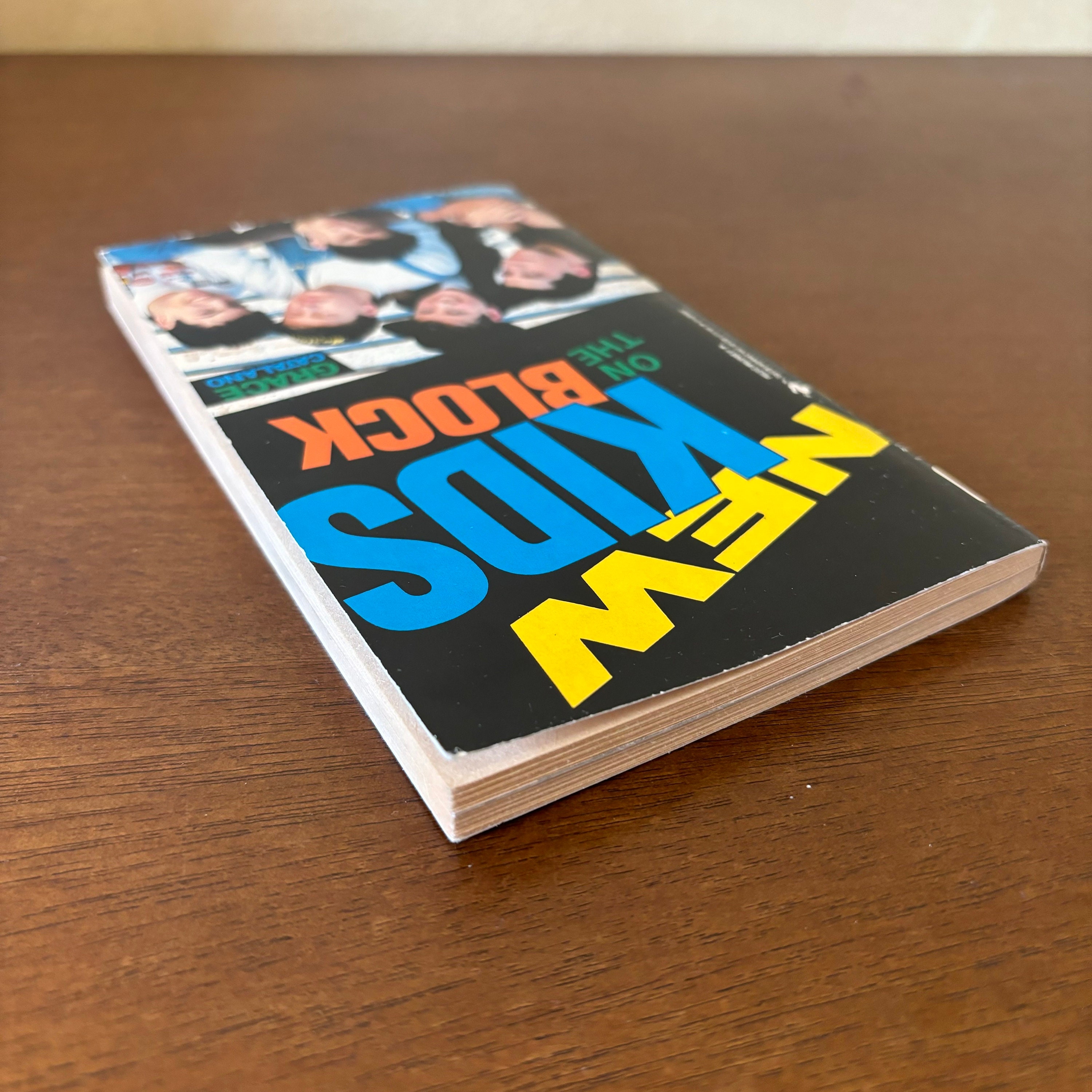 NEW KIDS ON THE BLOCK 洋書ファンブック 2冊セット New Kids on the Block Grace Catalano, 1989 Bantam Starfire