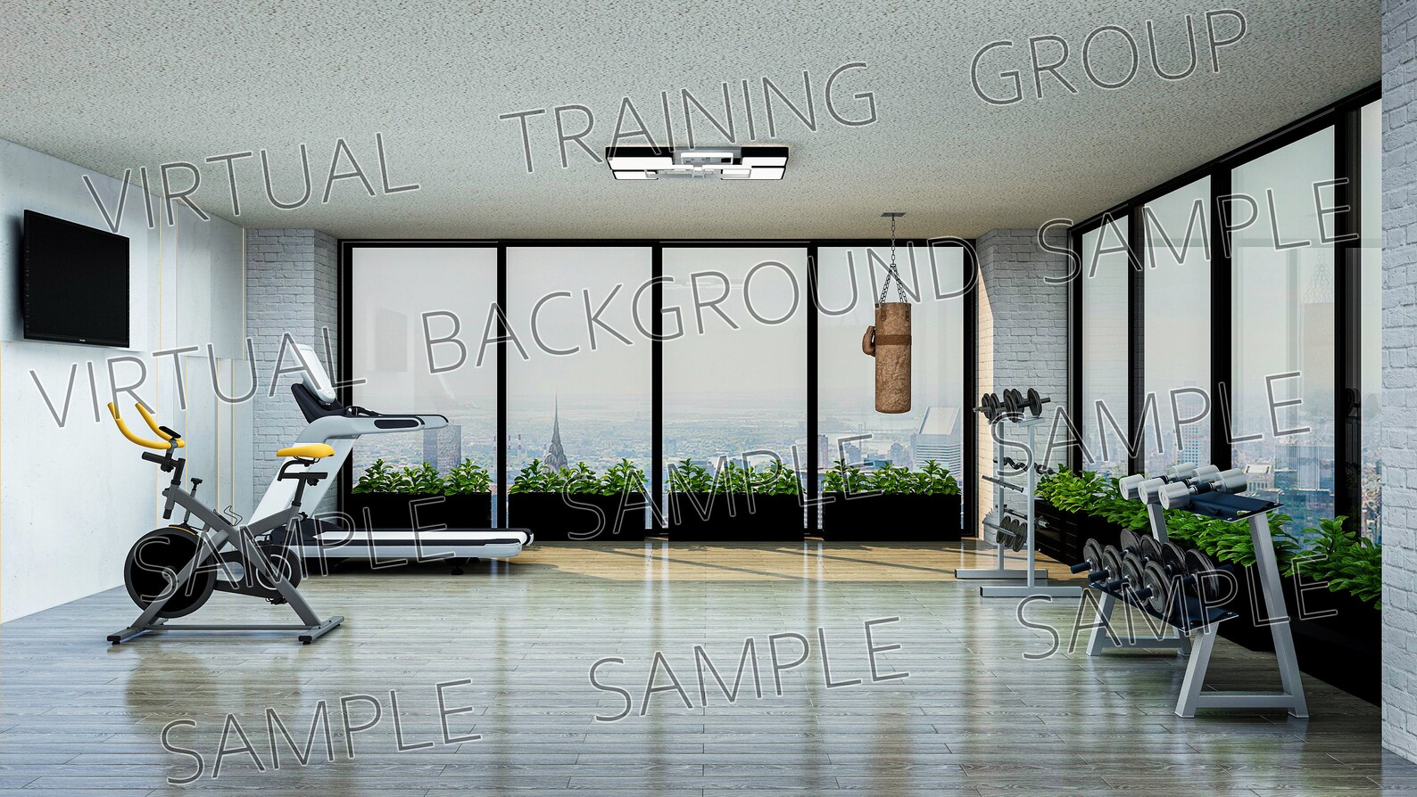 Virtual Background For Zoom Meetings Modern Minimalistic Gym Etsy