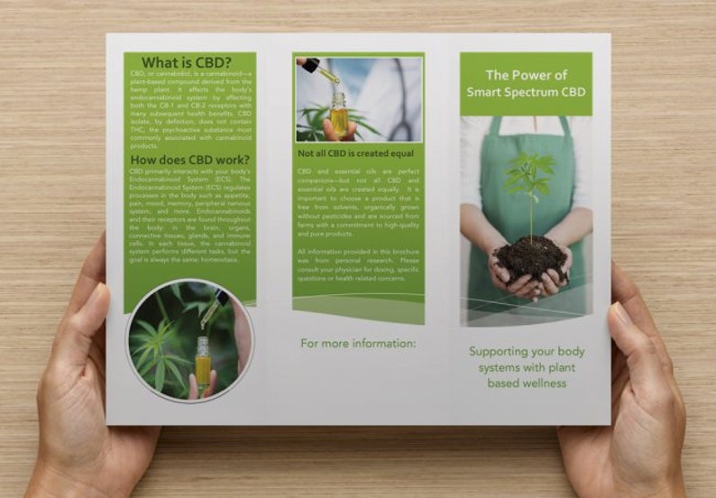 CBD informational brochure with essential oils for body Etsy