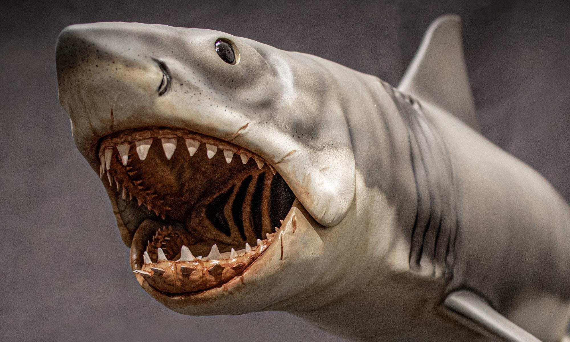 JAWS - Bruce The Mechanical Shark Resin Kit - Etsy 日本