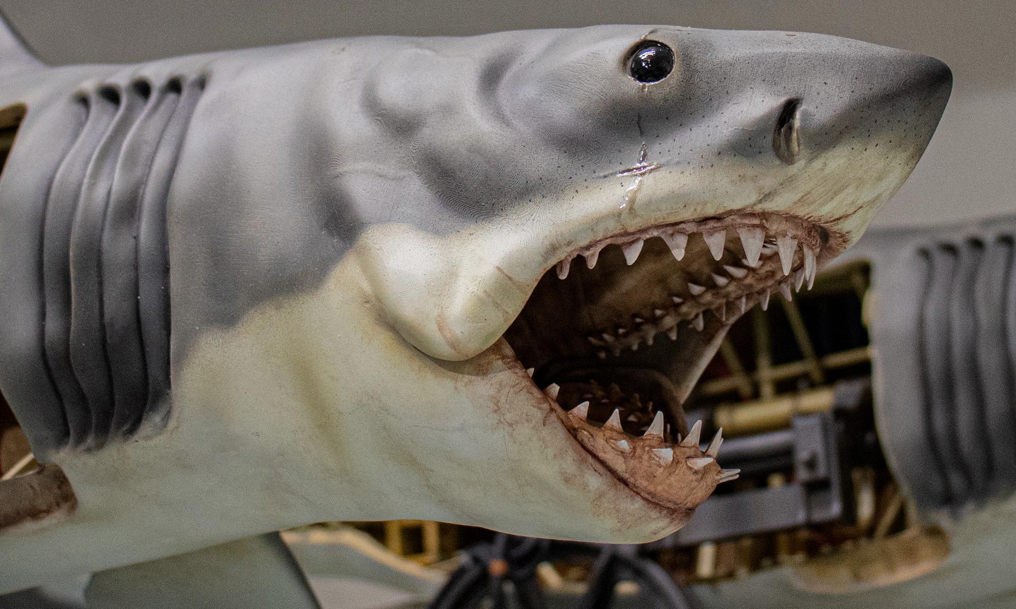 JAWS - Bruce The Mechanical Shark Resin Kit - Etsy 日本