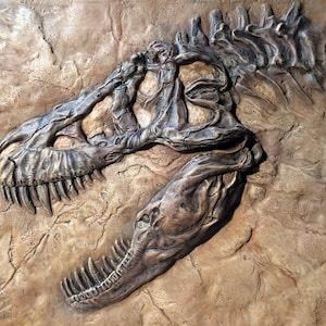 T-Rex Fossil Replica - 11 x 14 Relief Sculpt