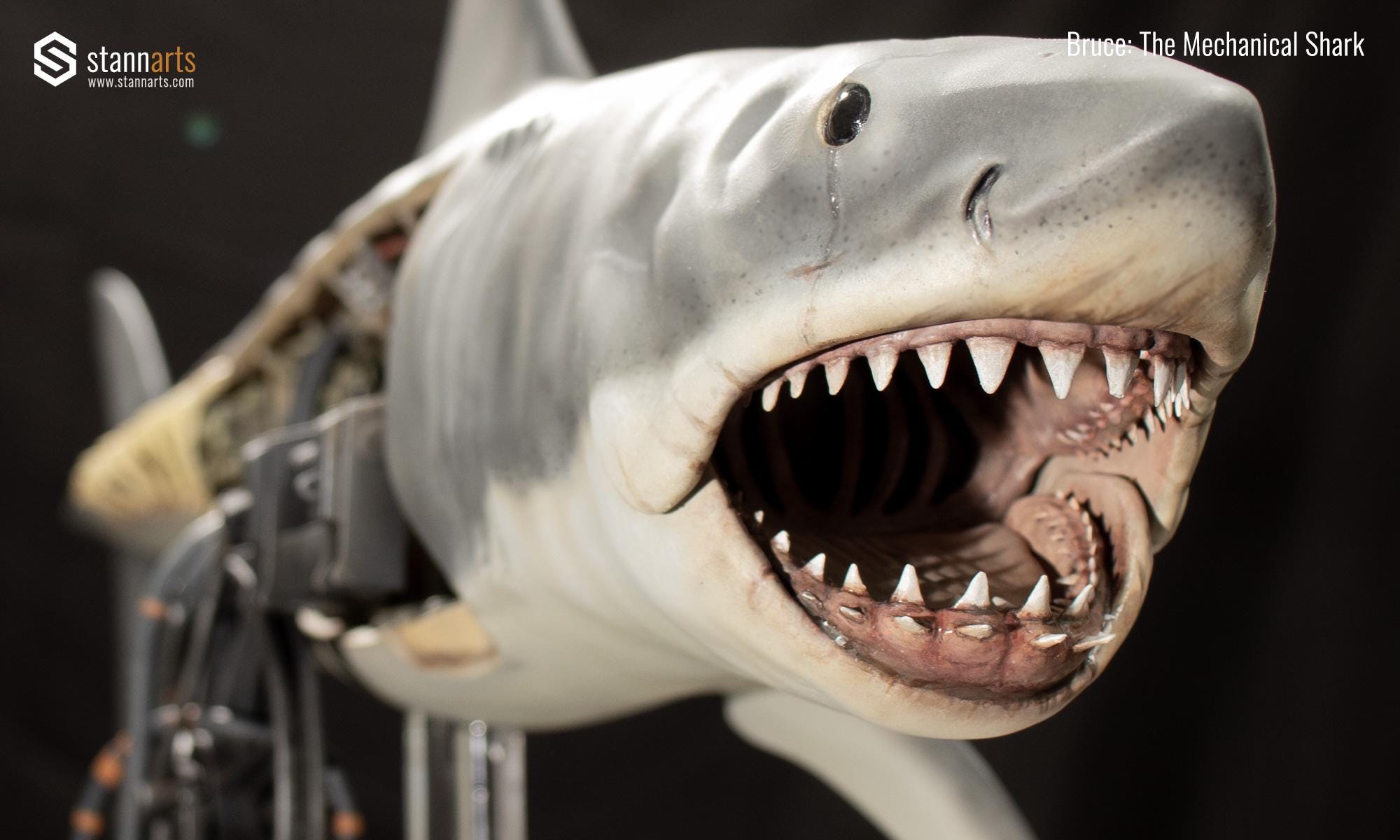 Amazon.co.jp: JAWS ジョーズ ユニバ ホオジロザメ サメ 鮫