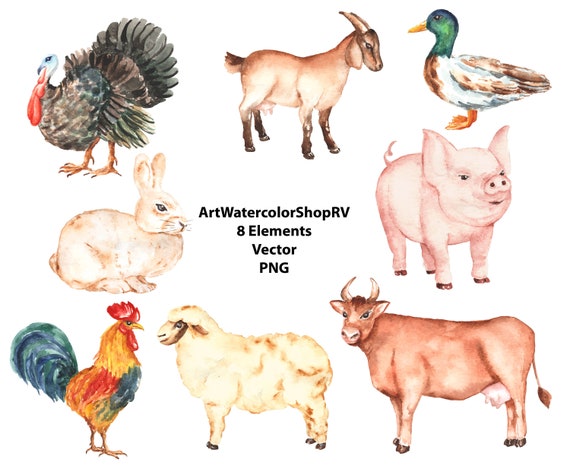 Download Chicken Watercolor Clipart Vector Eps Png Farm Animals Etsy