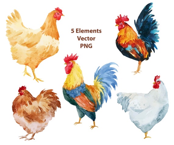 Chicken Watercolor Clipart Vector Eps Png Farm Animals Etsy
