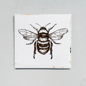 Carved Bee Wall Art - Honey Bee Decor - Carved Wood Art - Carved Bee - aclevercut.com