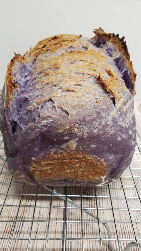 Butterfly Pea Flower Sourdough Bread Etsy Butterfly Pea Flower Sourdough Bread Etsy