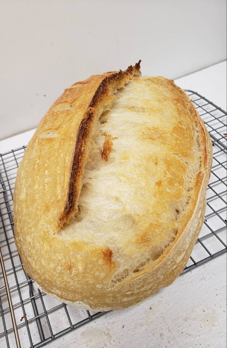 Basic White Sourdough Bread Etsy